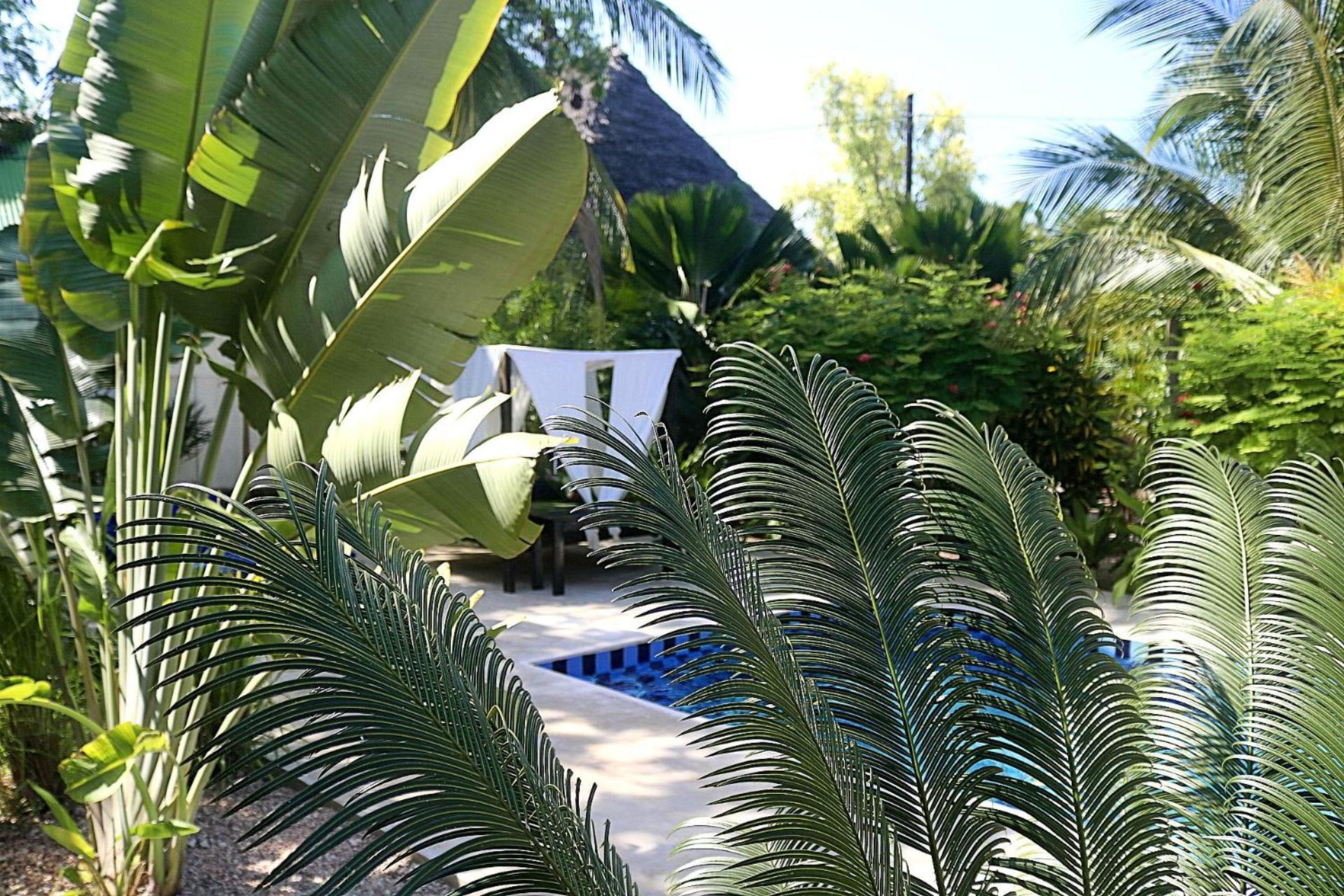 Aurora Boutique Hotel Jambiani Jambiani  Luaran gambar